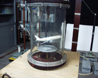 �����������u(�T�O�񐶂P���@�����l�w���B�e�j