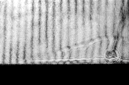 �}�b�n�c�F���_�����ʐ^